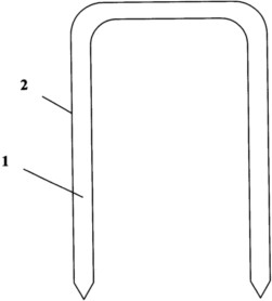 ���z���S��Ƥ���������Ϳ�ᔽY���D